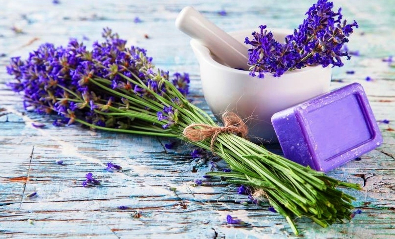 Homemade Lavender’s Mad Calming Lotion